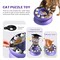 Puzzle Feeder Toy for Cats Interactive IQ Slow Feed Bowl for Healthy Weight